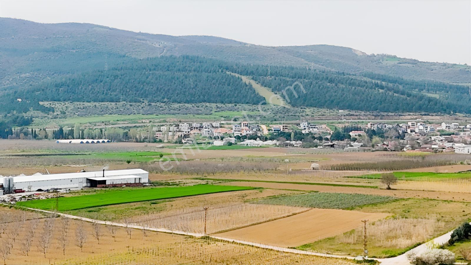 Remax Advantage Yenişehir Koyunhisar Köyü 2697 M2 Satılık Tarla - Görsel 13
