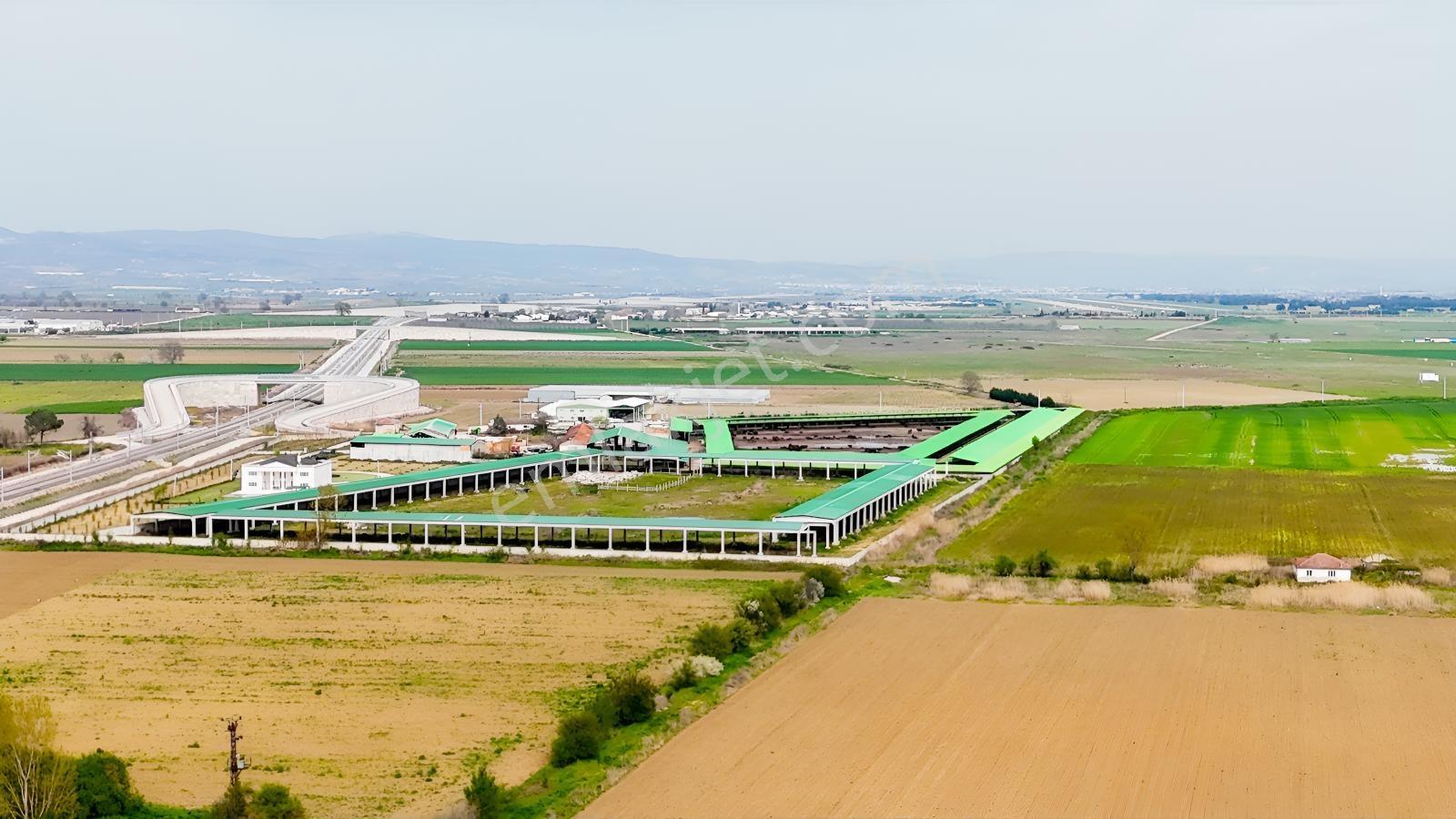 Remax Advantage Yenişehir Koyunhisar Köyü 2697 M2 Satılık Tarla - Görsel 25