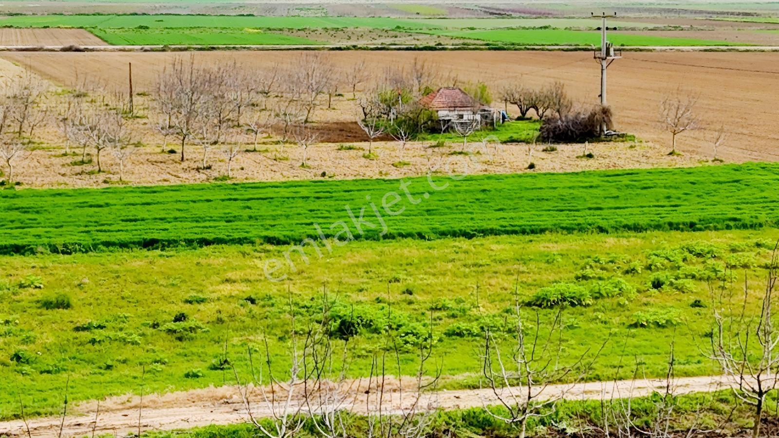 Remax Advantage Yenişehir Koyunhisar Köyü 2697 M2 Satılık Tarla - Görsel 19