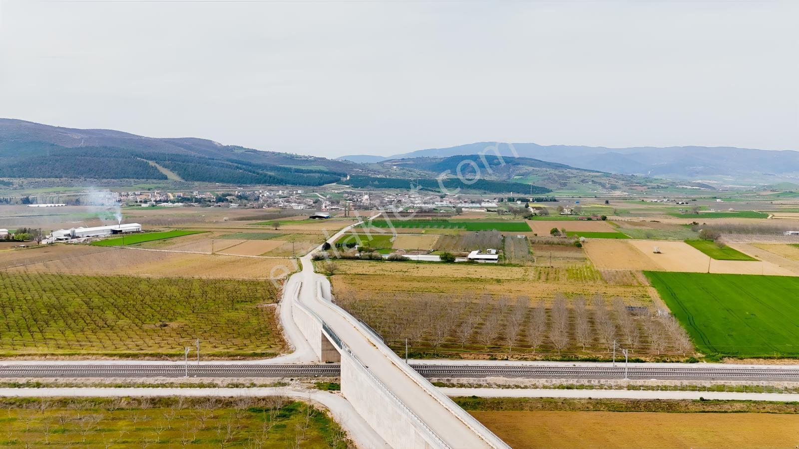 Remax Advantage Yenişehir Koyunhisar Köyü 2697 M2 Satılık Tarla - Görsel 23