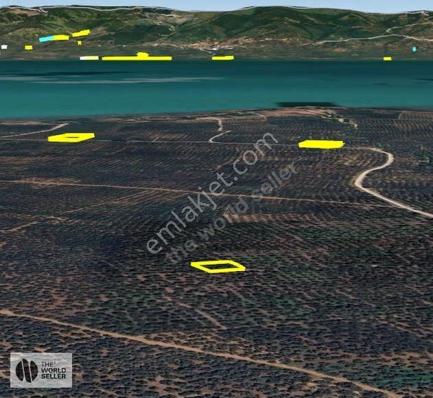 Sölözde Fırsat Fiyat Göl Manzaralı Zeytinlik