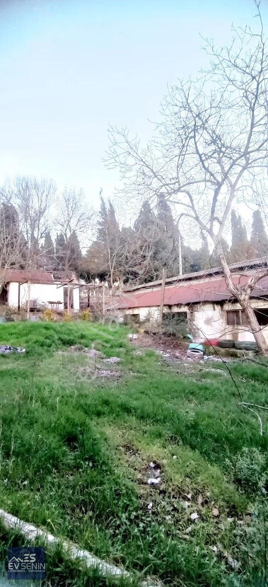 Kartepe Eşmede Göl Mnz. Satılık 700 M2 Kapalı Alan,ev Ve Arazi - Görsel 10