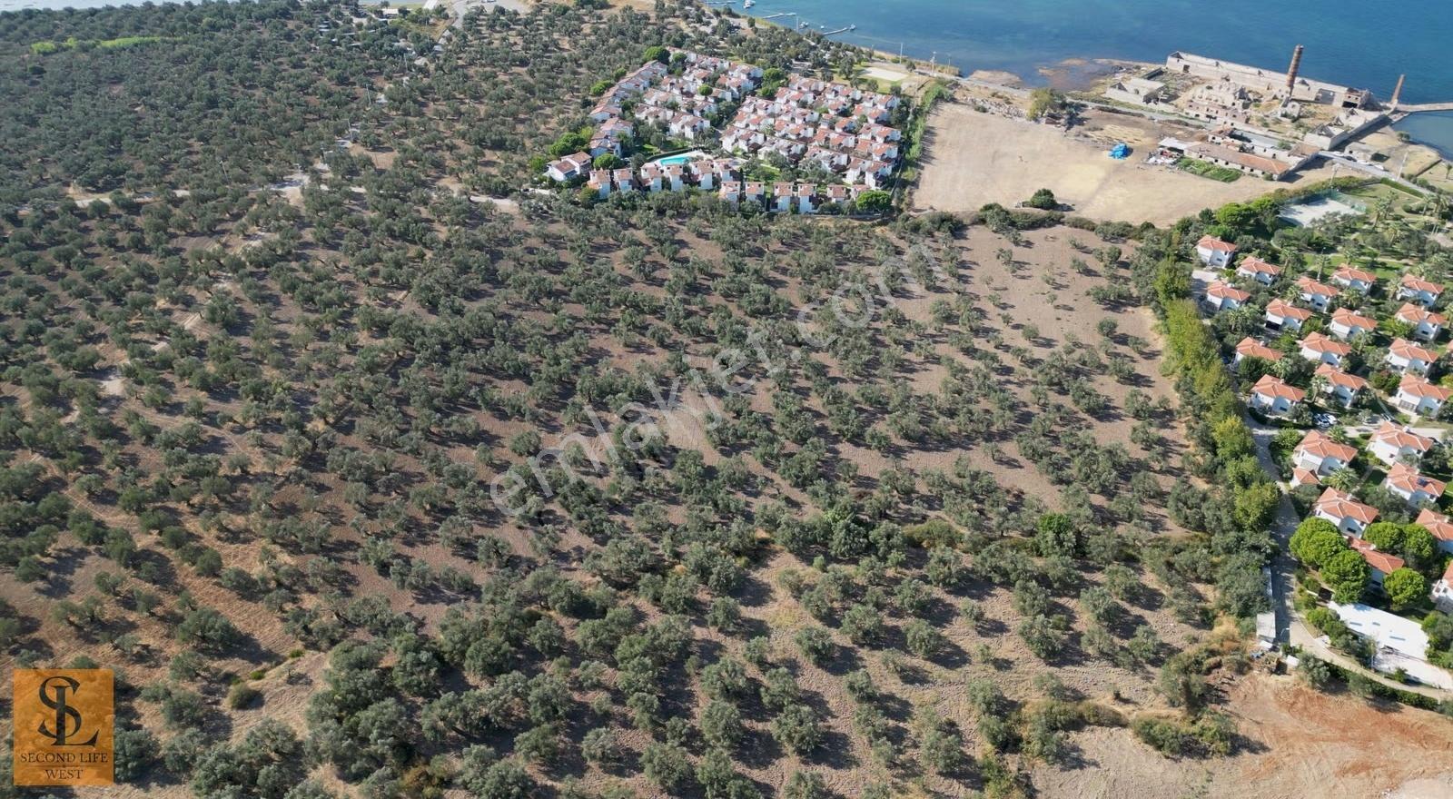 Denize Çok Yakın, Emsalli Bölgede, Büyük Yatırım Arazisi - Görsel 7