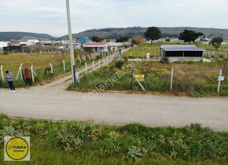 Turpa Sönmez'den Acil Satılık 2350m² Hisseli Tarla - Görsel 8