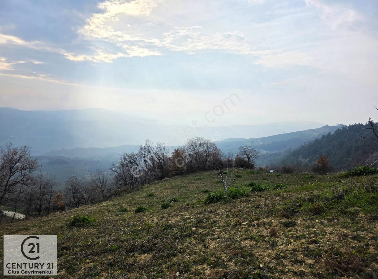 C21 Cius; Katırlı 7458 M² Satılık İncirlik Yatırımlık Fırsat - Görsel 10