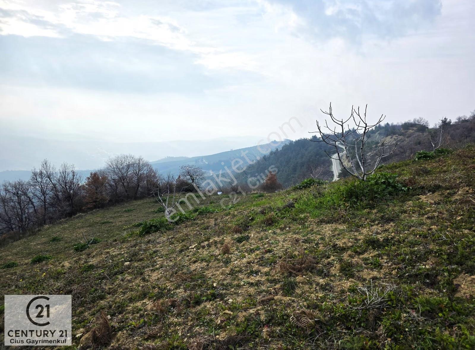 C21 Cius; Katırlı 7458 M² Satılık İncirlik Yatırımlık Fırsat - Görsel 8