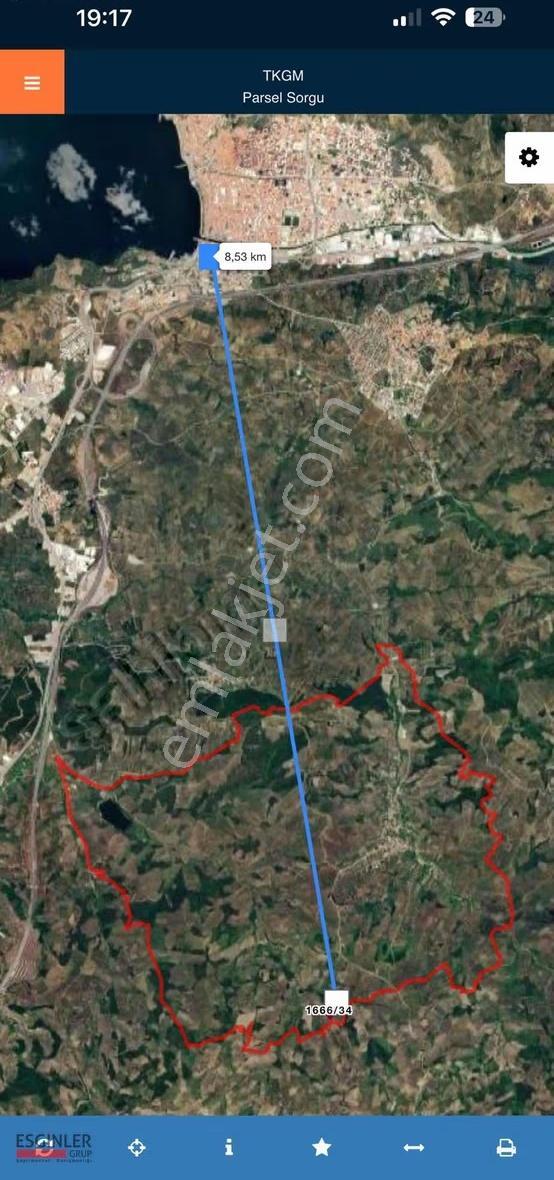 Muratobada Yatırımlık Zeytinlik - Görsel 2