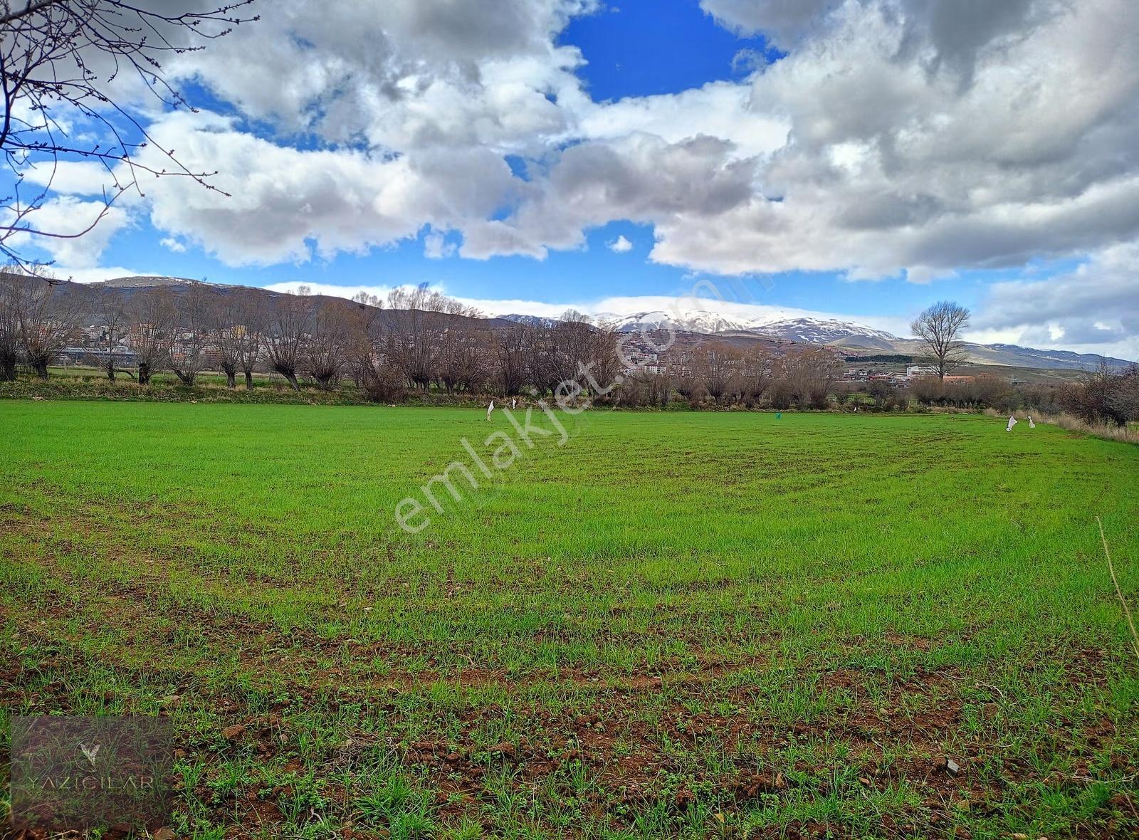 Suşehri Kemalpaşada 10.603 M² Yatırımlık Tarla - Görsel 6