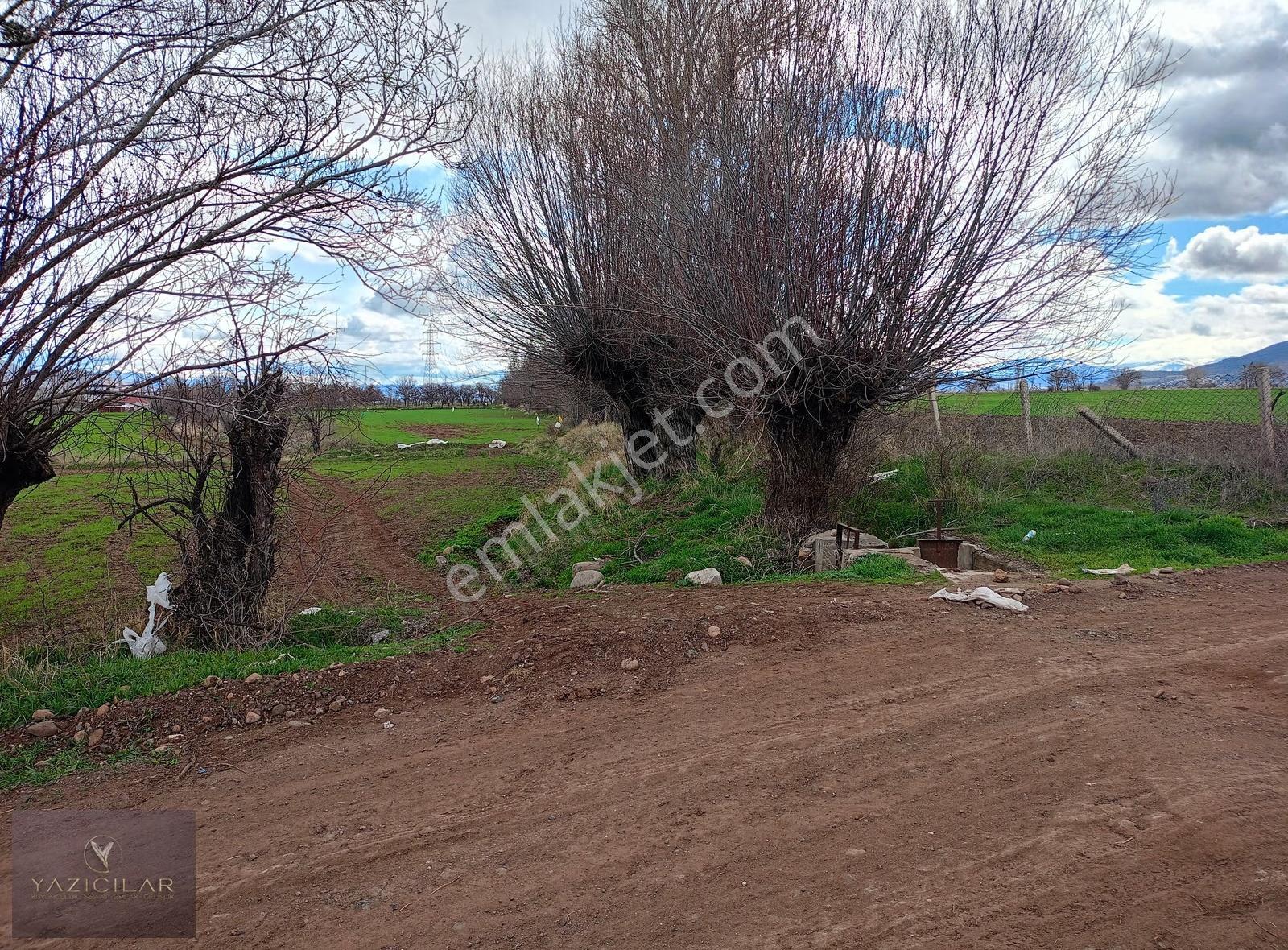Suşehri Kemalpaşada 10.603 M² Yatırımlık Tarla - Görsel 3