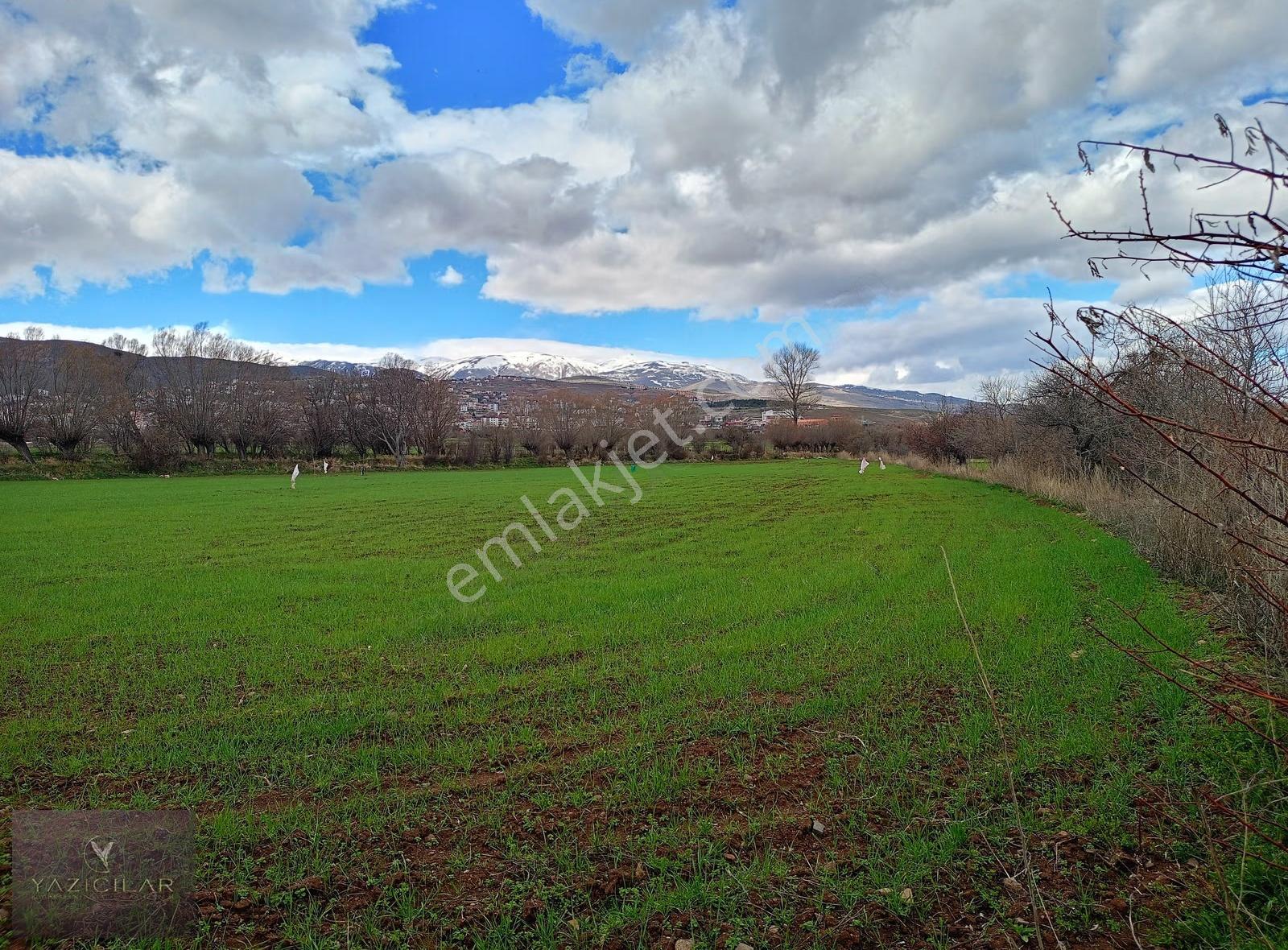 Suşehri Kemalpaşada 10.603 M² Yatırımlık Tarla