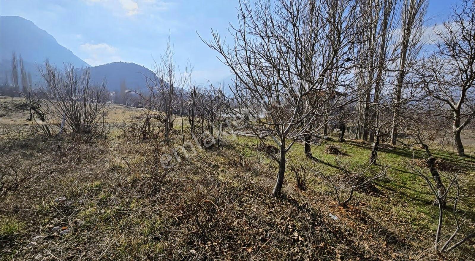 Gölhisar Tekin Emlak'tan 606 M² Satılık Köy İçi İmarlı Arsa - Görsel 2