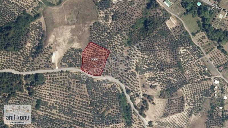 Anıl Konu'dan Mudanya Dereköy'de Satılık Tarla