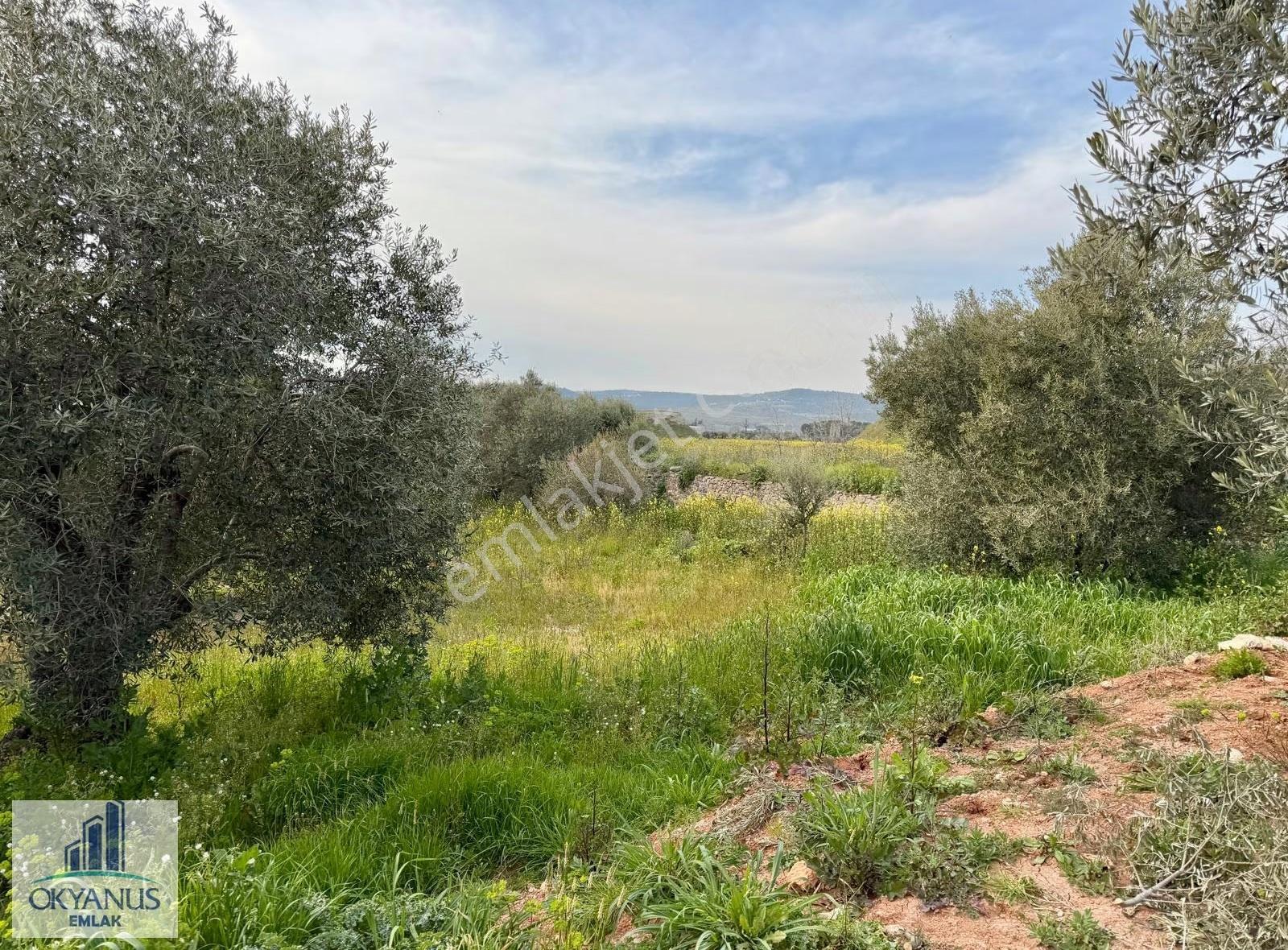 10.500 M2, K.yoluna 55 Mt Cepheli, İçinde Yapı Mevcut - Görsel 28