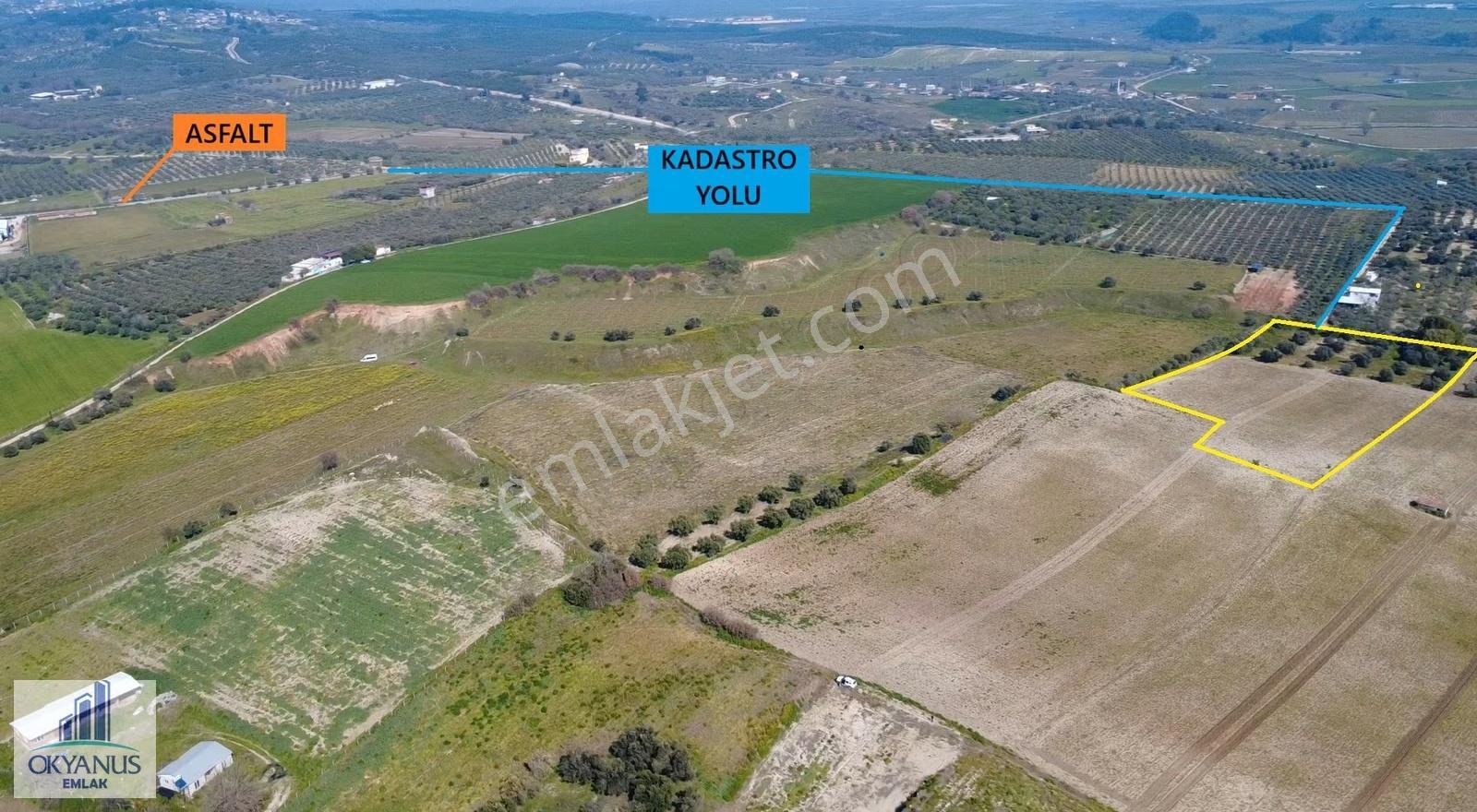 10.500 M2, K.yoluna 55 Mt Cepheli, İçinde Yapı Mevcut - Görsel 16