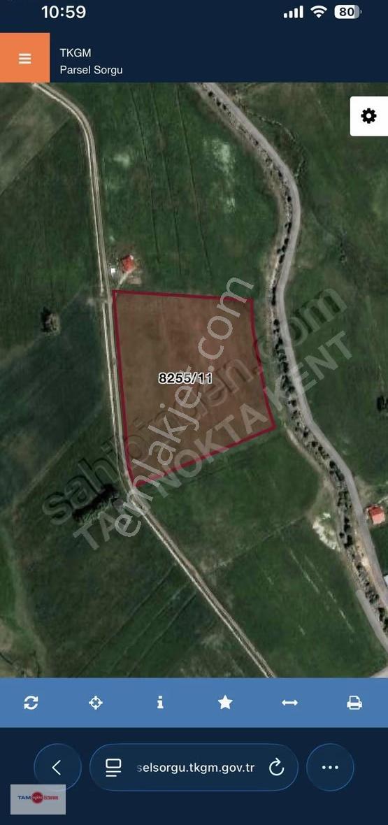 Tam Nokta Kent'ten Aziziye Düztoprak Mah. Tek Tapulu Tarla!