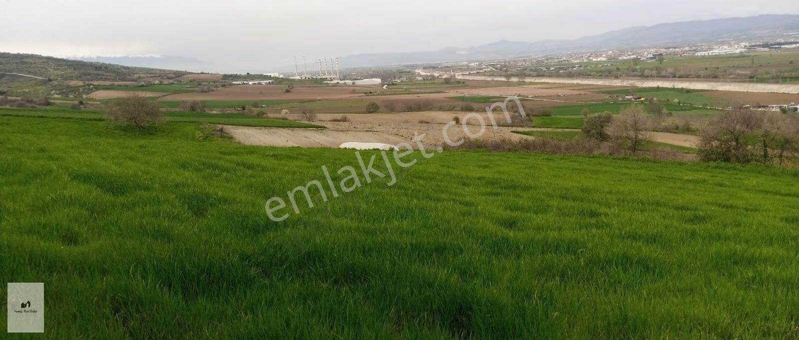 Bursa Yenişehir Manzaralı Satılık 11.380 M² Kupon Arazi - Görsel 3