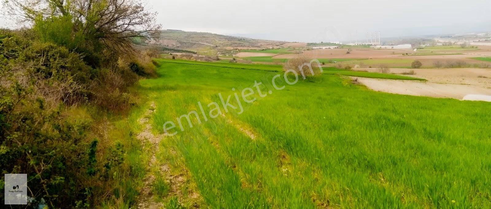 Bursa Yenişehir Manzaralı Satılık 11.380 M² Kupon Arazi - Görsel 12