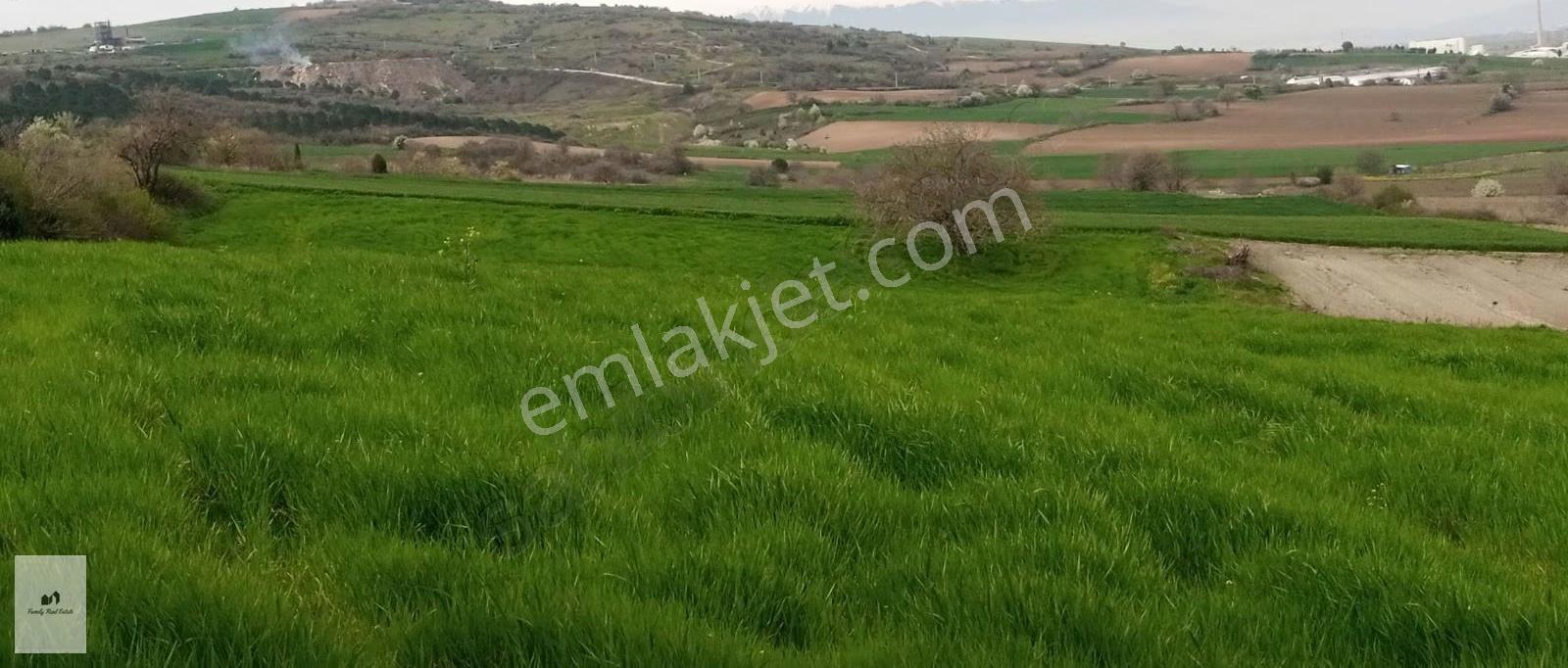 Bursa Yenişehir Manzaralı Satılık 11.380 M² Kupon Arazi - Görsel 15
