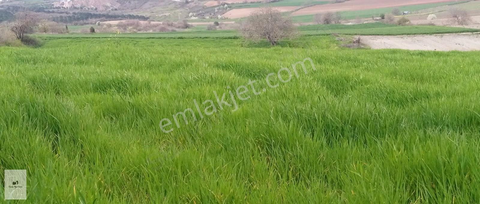 Bursa Yenişehir Manzaralı Satılık 11.380 M² Kupon Arazi - Görsel 16