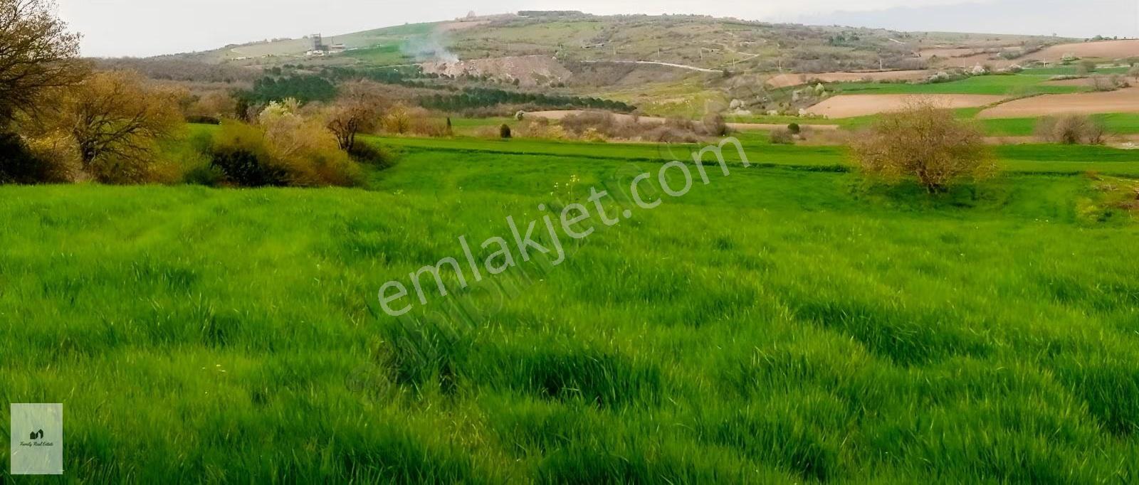 Bursa Yenişehir Manzaralı Satılık 11.380 M² Kupon Arazi - Görsel 19