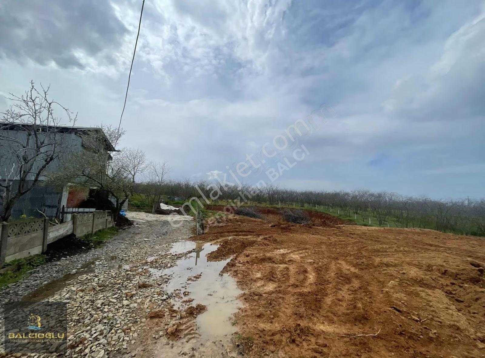 Balcıoğlundan Deniz Ve Doğa Manzaralı Müstakil Konut İmarlı Arsa - Görsel 12