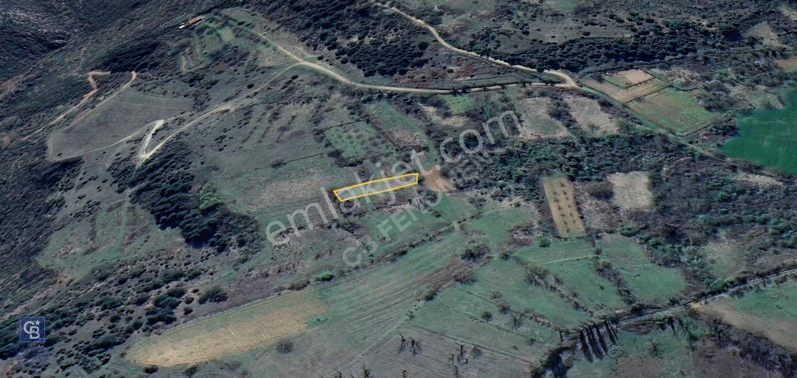 Bilecik İlyasbey'de Yatırımlık Fırsat: Doğayla İç İçe 504 M² - Görsel 4