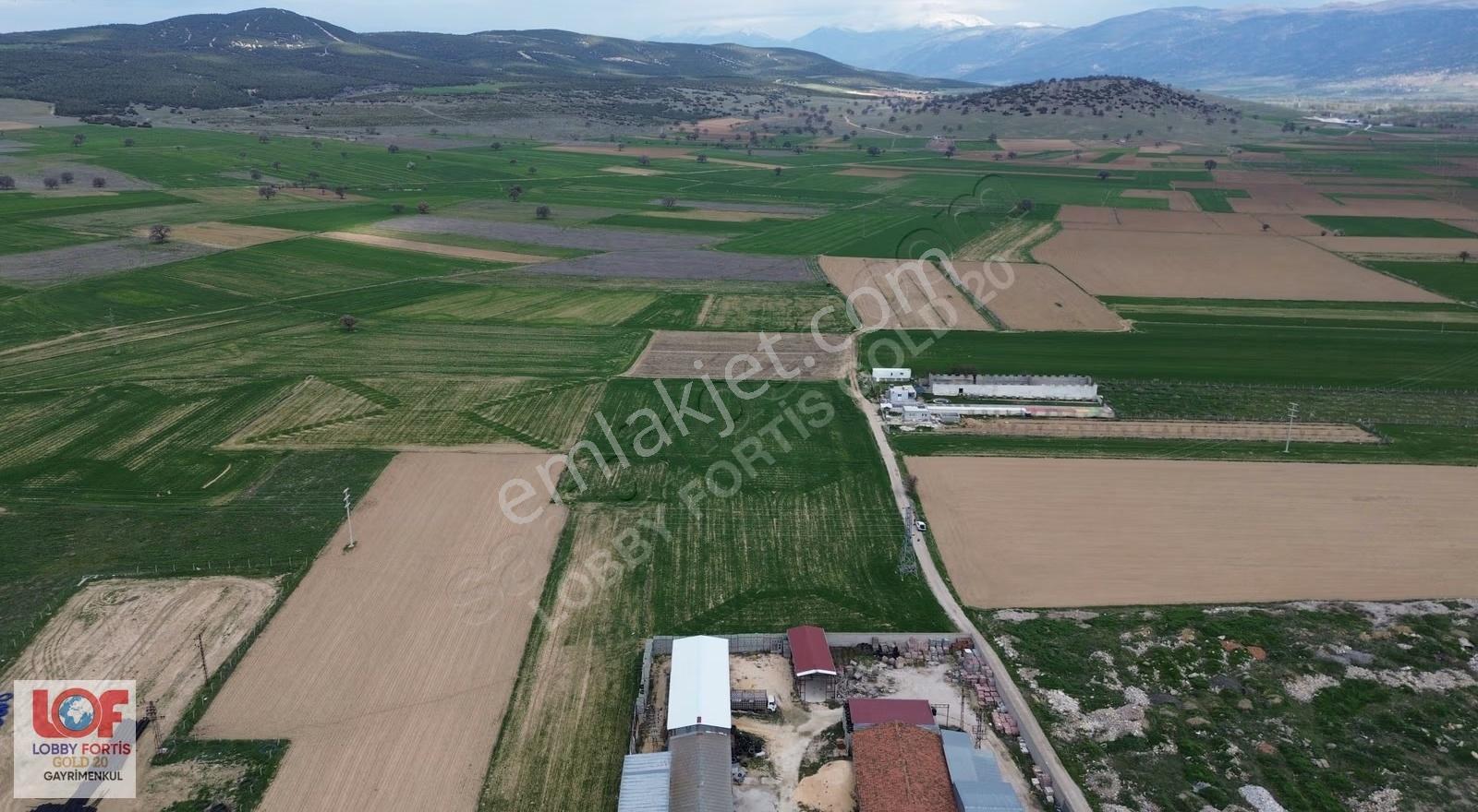 Lobby Fortis'ten Dinar Organizede Satılık 15000m2 Tarla - Görsel 10