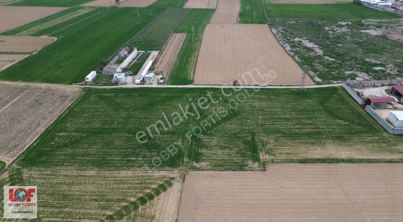 Lobby Fortis'ten Dinar Organizede Satılık 15000m2 Tarla - Görsel 15