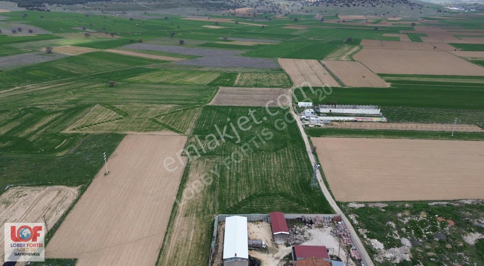 Lobby Fortis'ten Dinar Organizede Satılık 15000m2 Tarla - Görsel 9