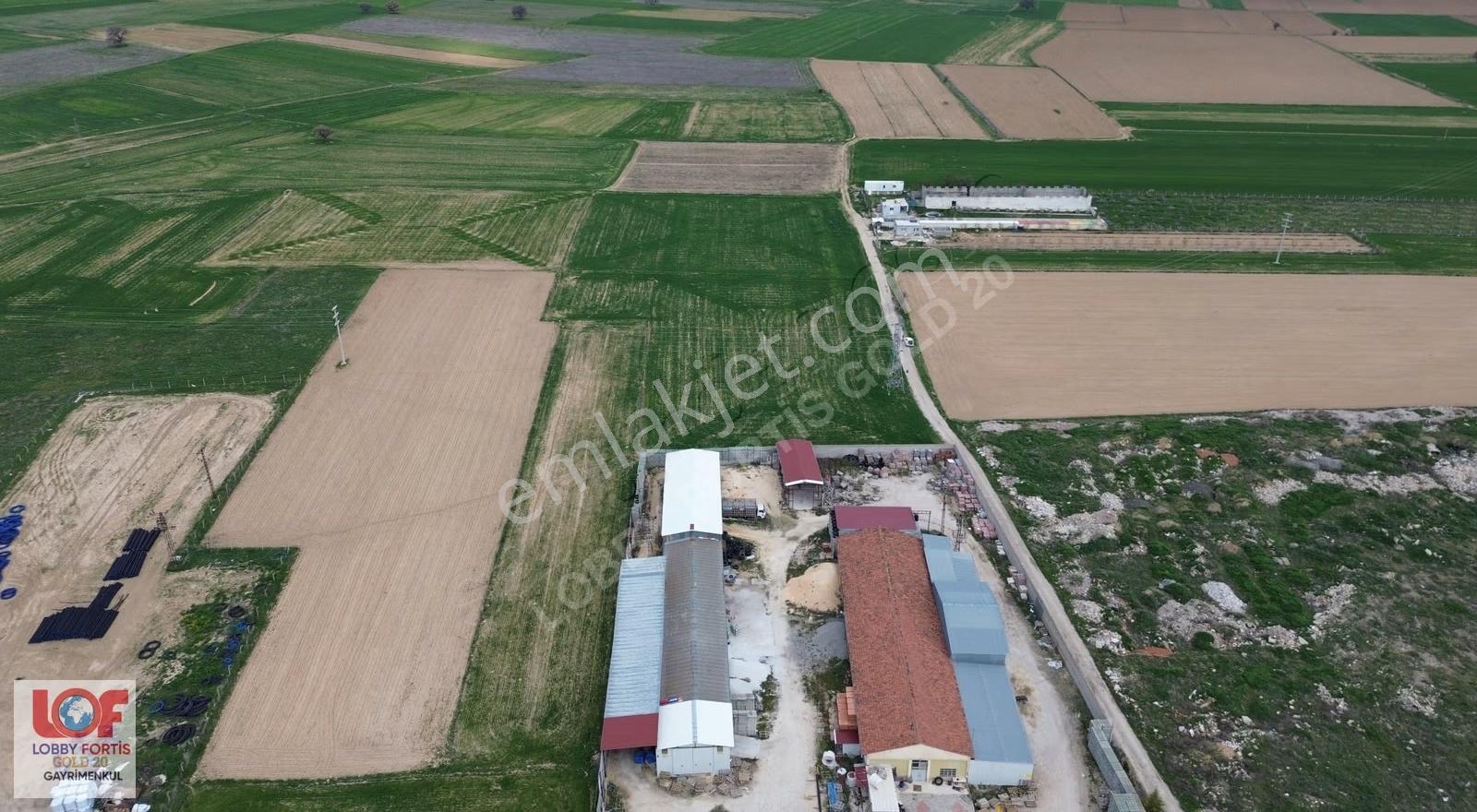 Lobby Fortis'ten Dinar Organizede Satılık 15000m2 Tarla - Görsel 3
