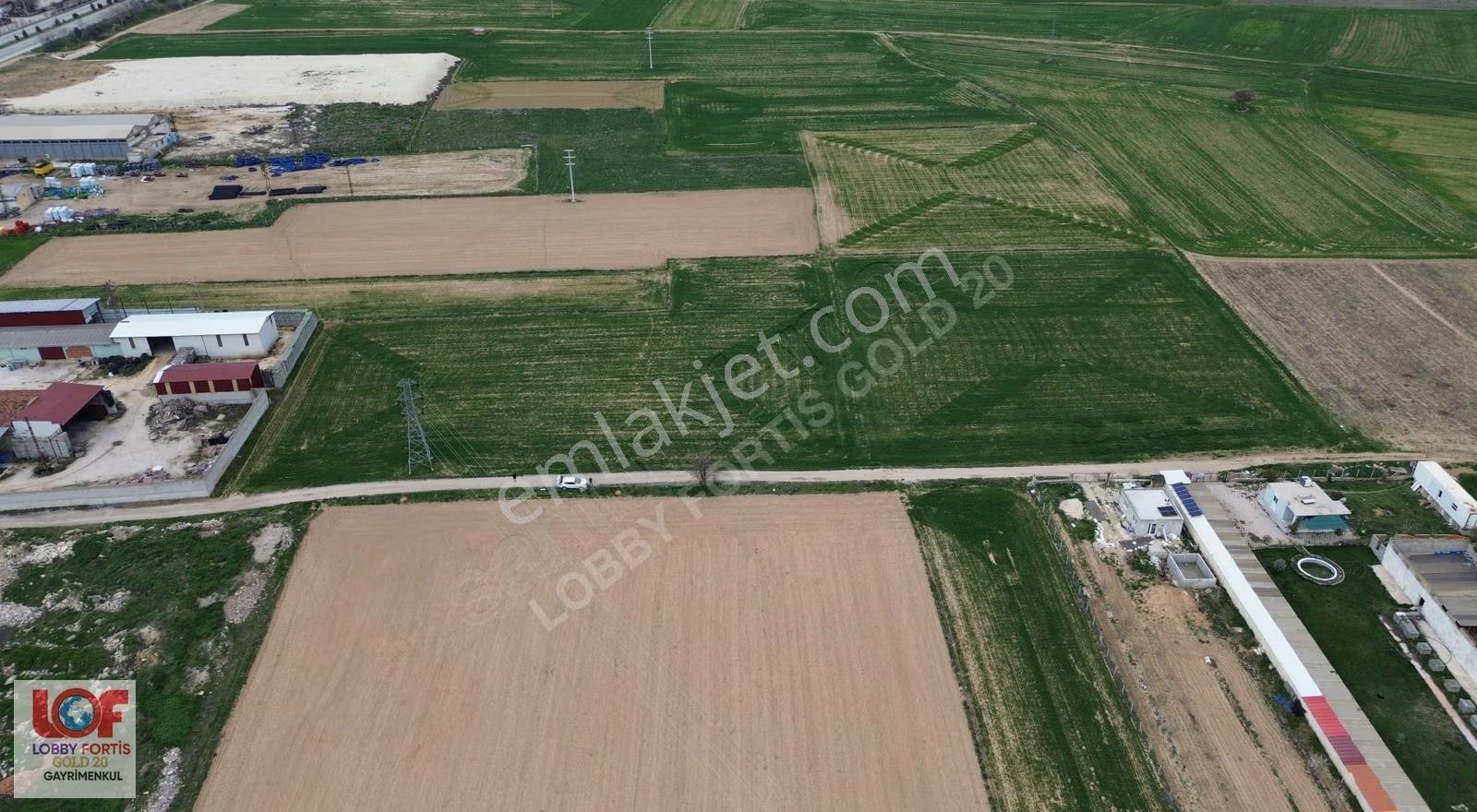 Lobby Fortis'ten Dinar Organizede Satılık 15000m2 Tarla - Görsel 12