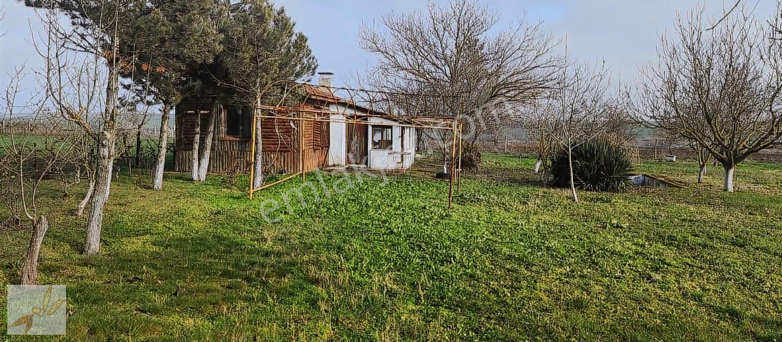 Özsoy Emlak Edirne'de Demirhanlı Köyünde Yol Üzeri Satılık Arazi - Görsel 12