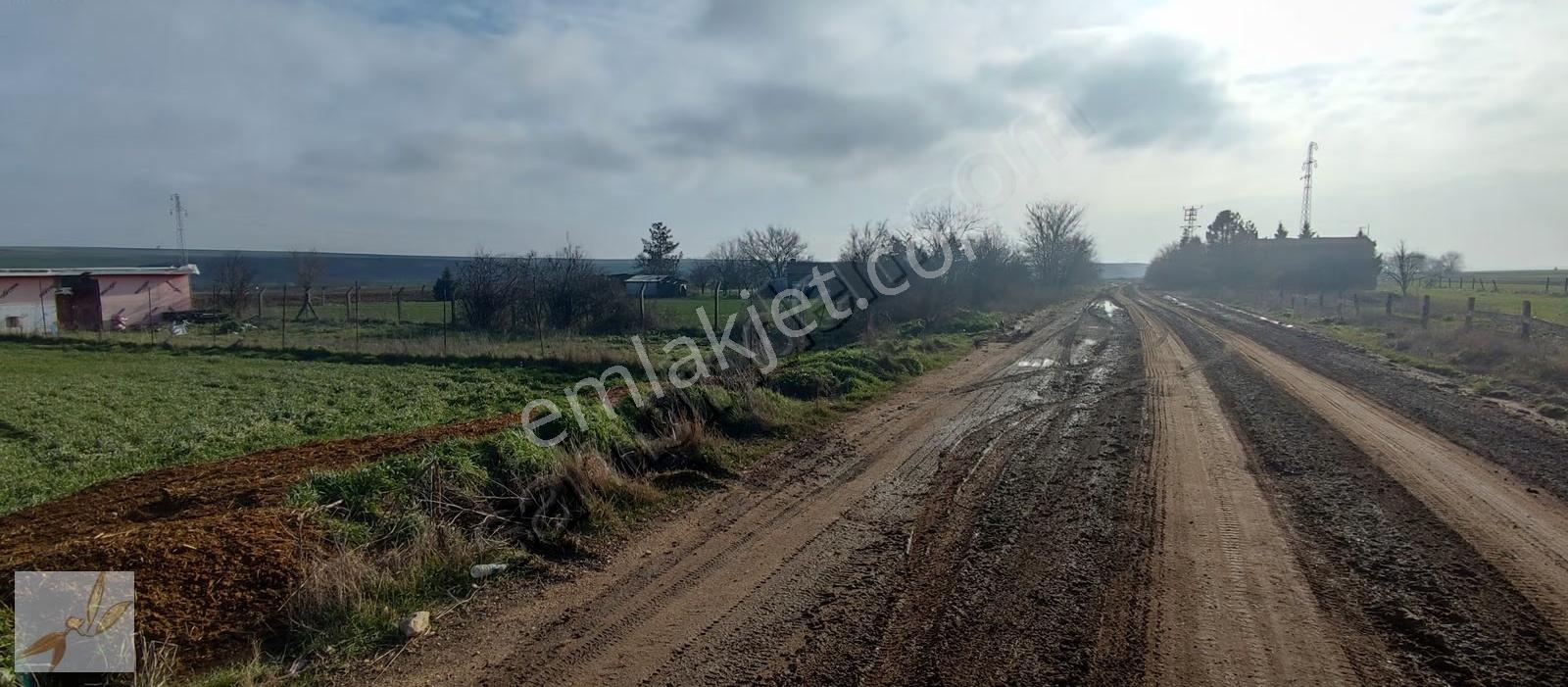 Özsoy Emlak Edirne'de Demirhanlı Köyünde Yol Üzeri Satılık Arazi - Görsel 9