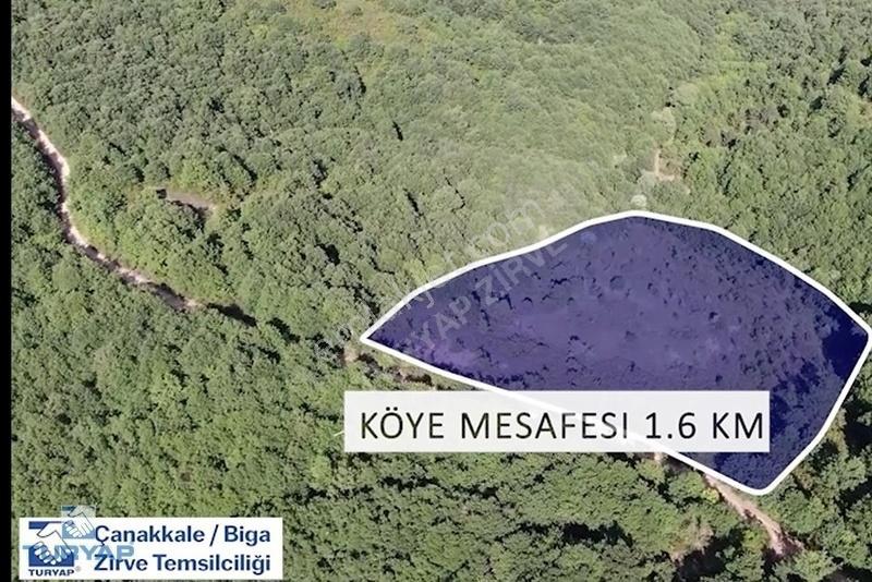 Çanakkale Biga Dikmen Köyü 51.100m2 Kupon Tarla - Görsel 17