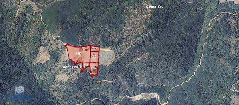 Çanakkale Biga Dikmen Köyü 51.100m2 Kupon Tarla - Görsel 13