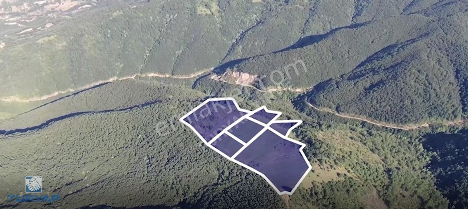 Çanakkale Biga Dikmen Köyü 51.100m2 Kupon Tarla - Görsel 20