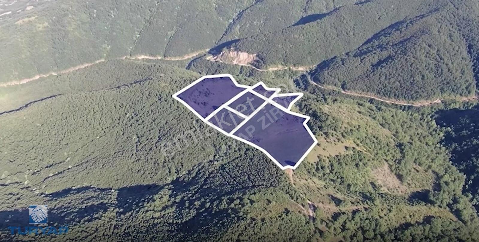 Çanakkale Biga Dikmen Köyü 51.100m2 Kupon Tarla - Görsel 15