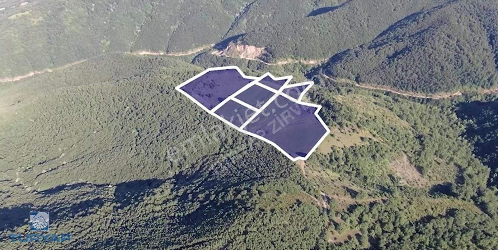 Çanakkale Biga Dikmen Köyü 51.100m2 Kupon Tarla - Görsel 9