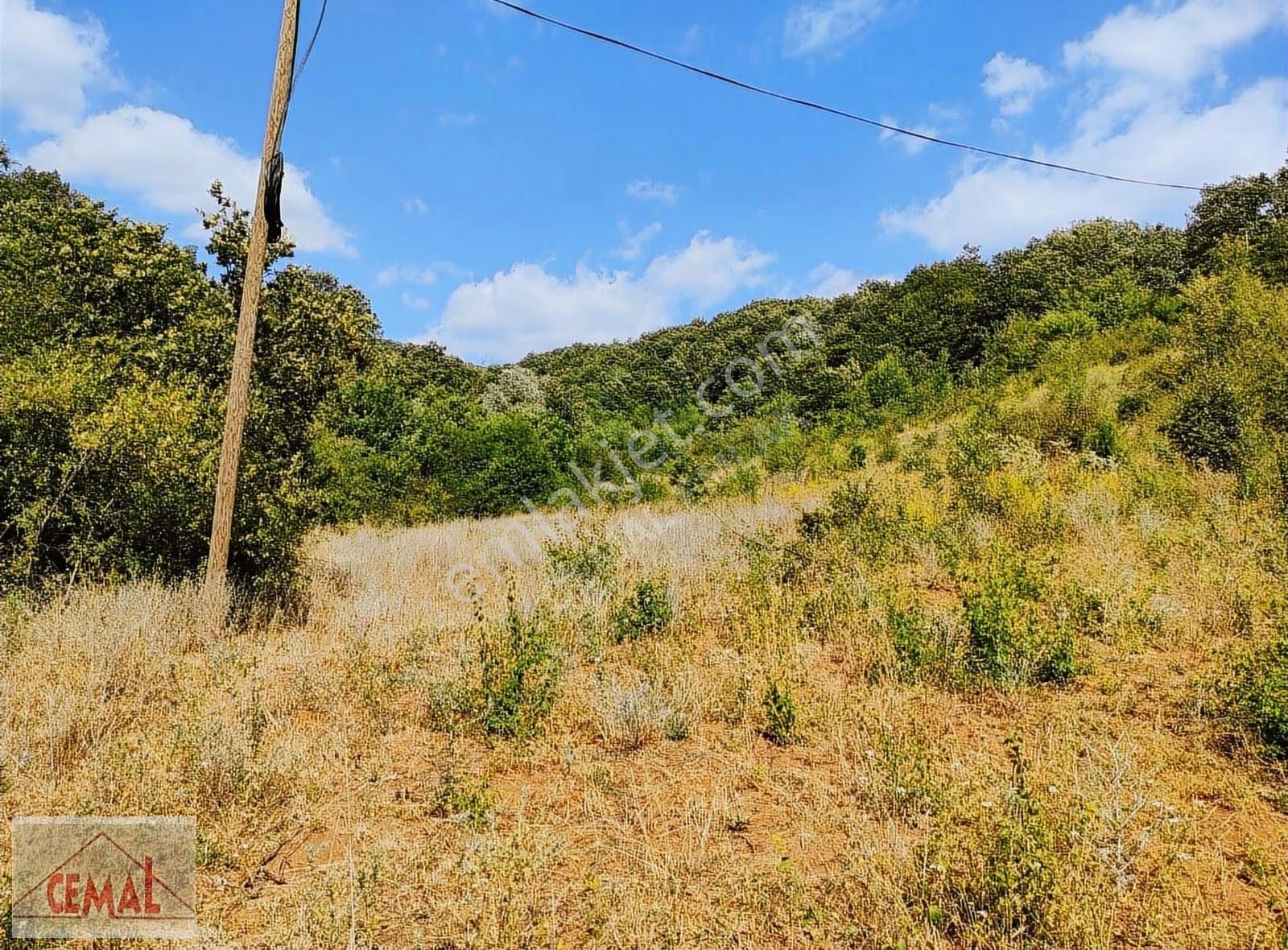 Cemal Emlak Bursa İnegöl Yeniköy İmarlı Kırsal Kesim Arazi - Görsel 15