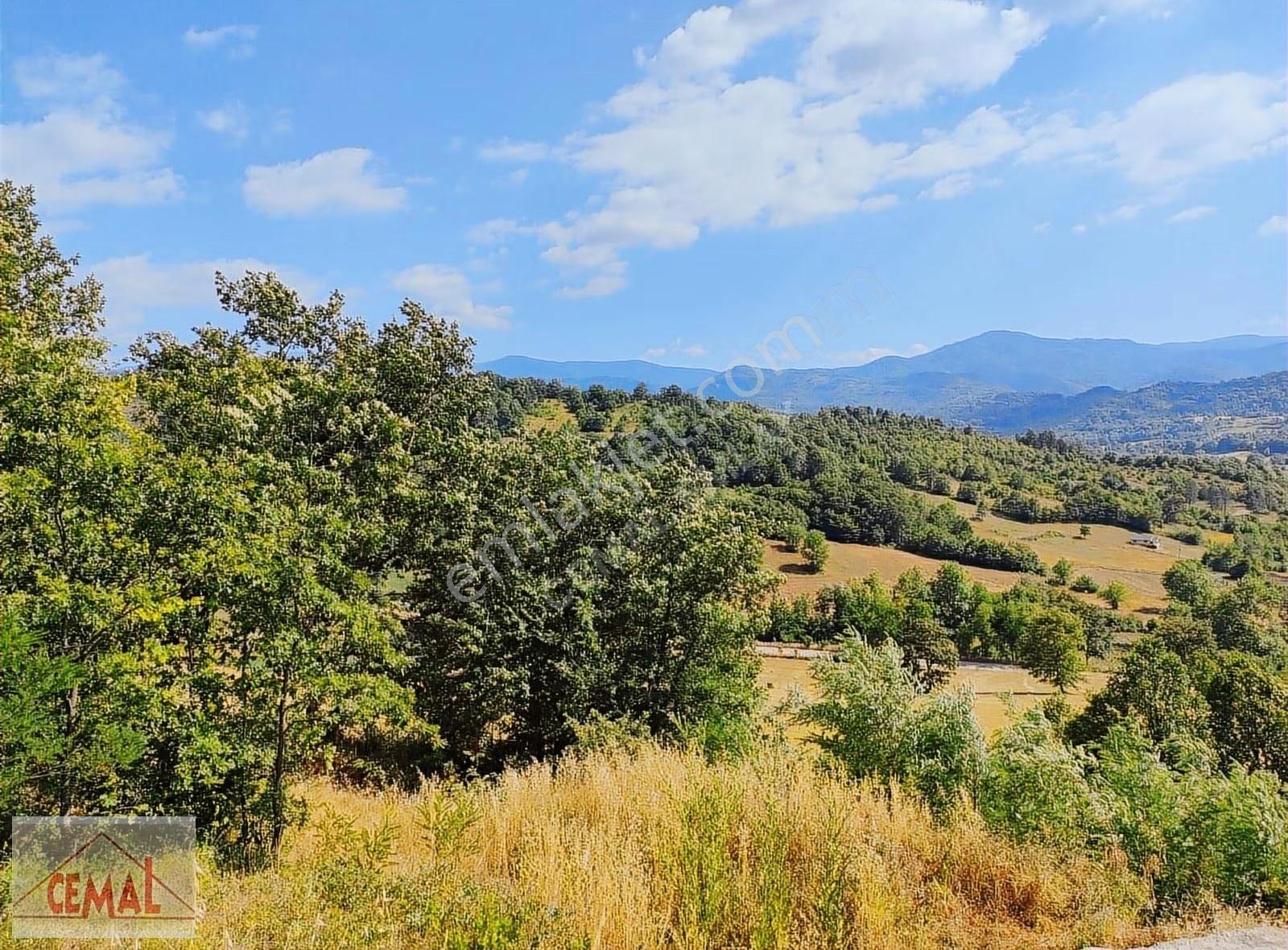 Cemal Emlak Bursa İnegöl Yeniköy İmarlı Kırsal Kesim Arazi - Görsel 23