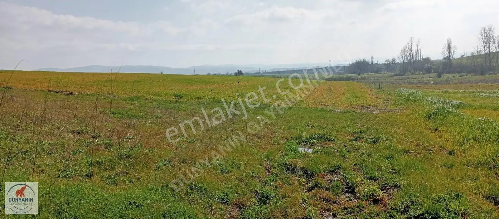 Çanakkale Biga Doğancı Köyünde 2921m2 Satılık Tarla