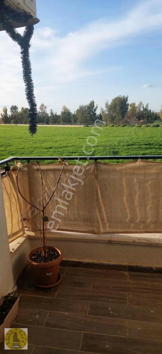 Realite Gayrimenkulden Şanlıurfa Akçakale De Satılık Temiz Daire - Görsel 12