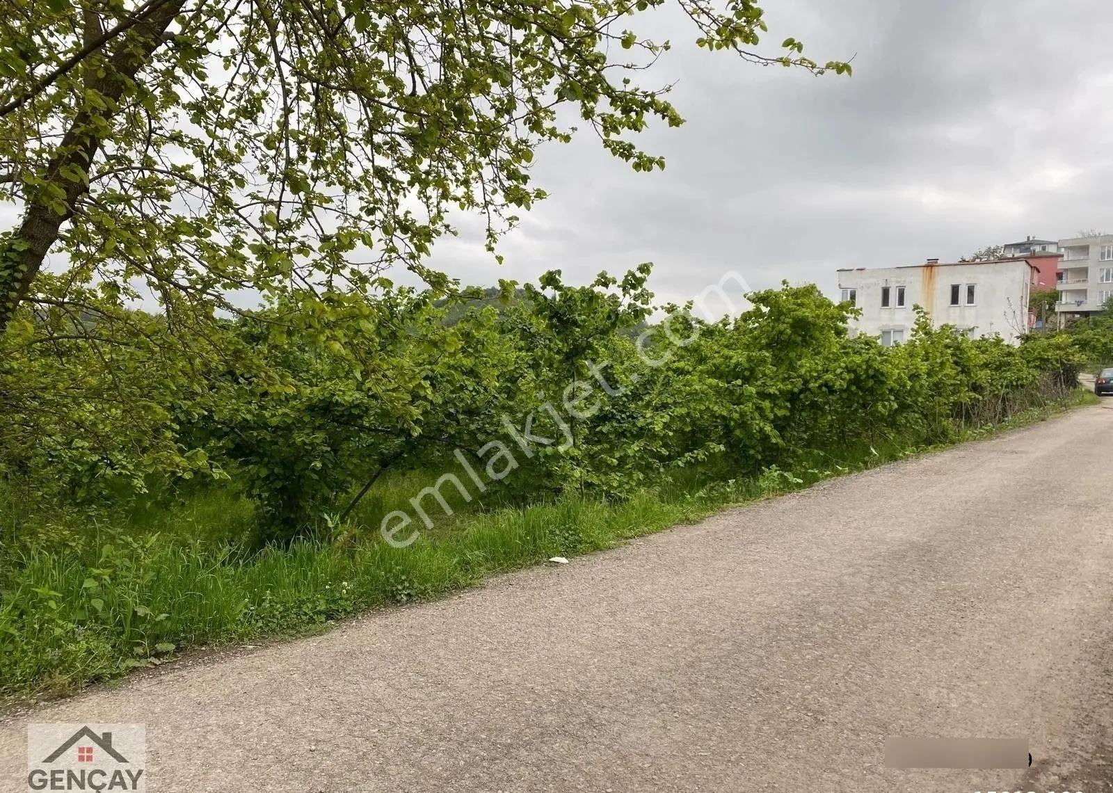Acil İmar Sınırında Arazi Fatsa Toki Yanı - Görsel 3