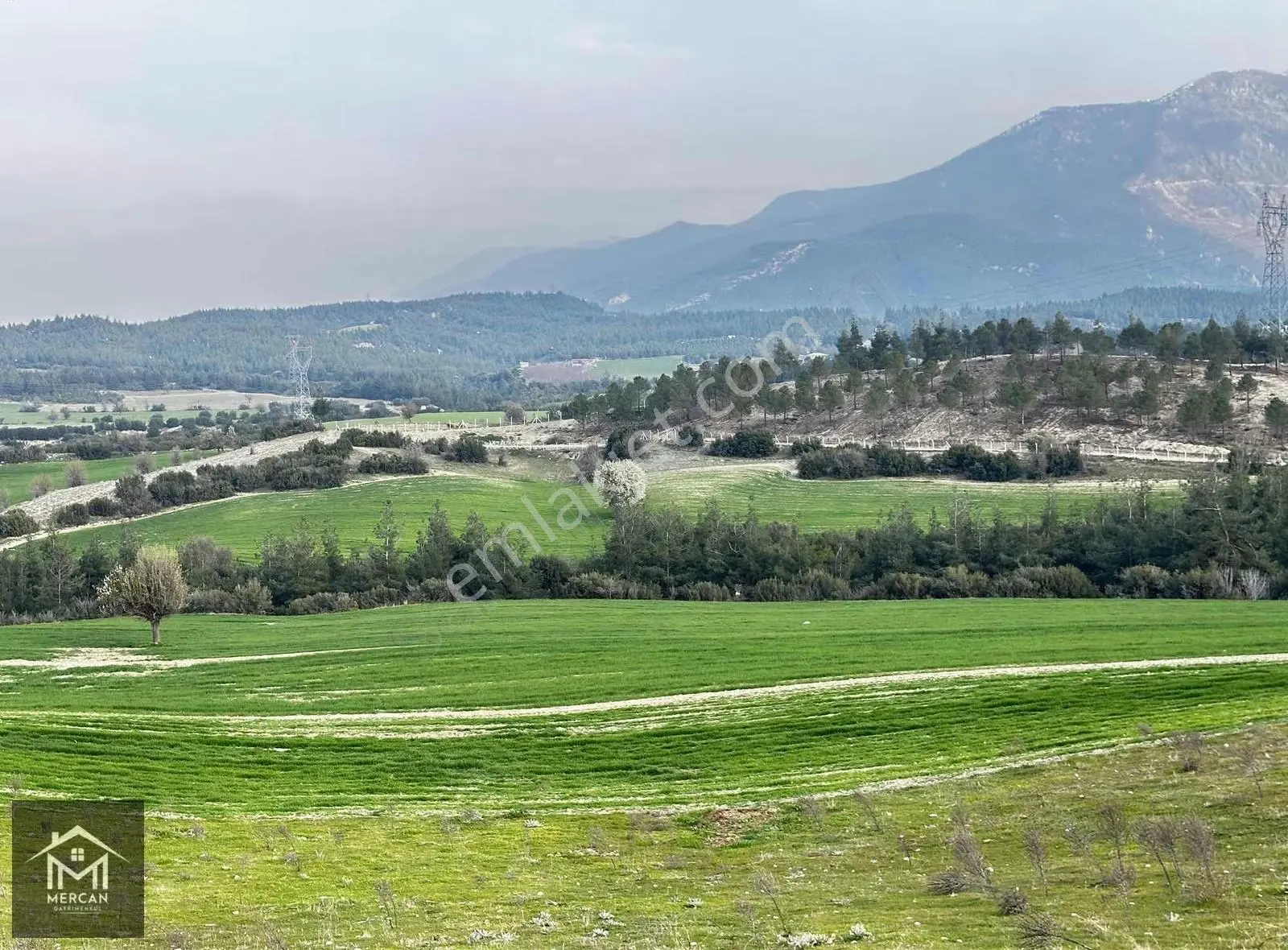 Mercan'dan Karakurt Mevki 20.000 M2 Özel İmarlı Tarla ! - Görsel 3