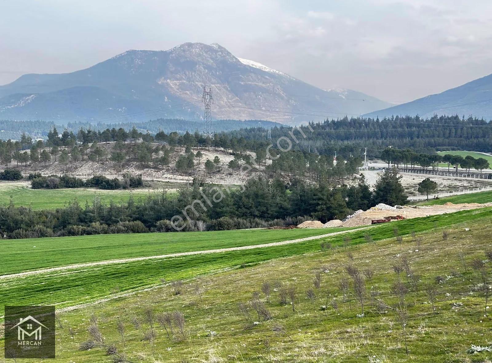 Mercan'dan Karakurt Mevki 20.000 M2 Özel İmarlı Tarla ! - Görsel 13