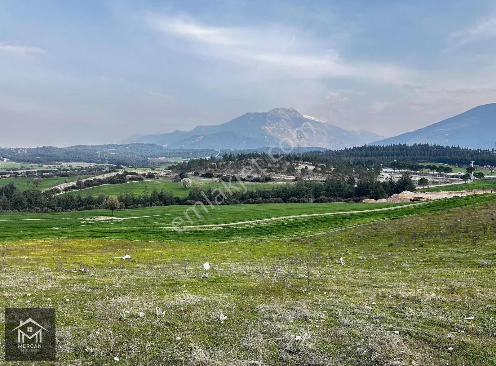 Mercan'dan Karakurt Mevki 20.000 M2 Özel İmarlı Tarla ! - Görsel 10