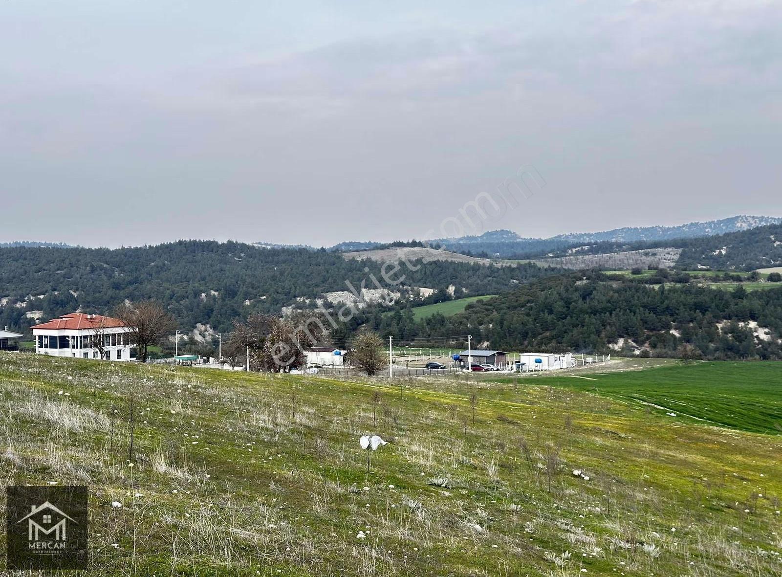 Mercan'dan Karakurt Mevki 20.000 M2 Özel İmarlı Tarla ! - Görsel 8