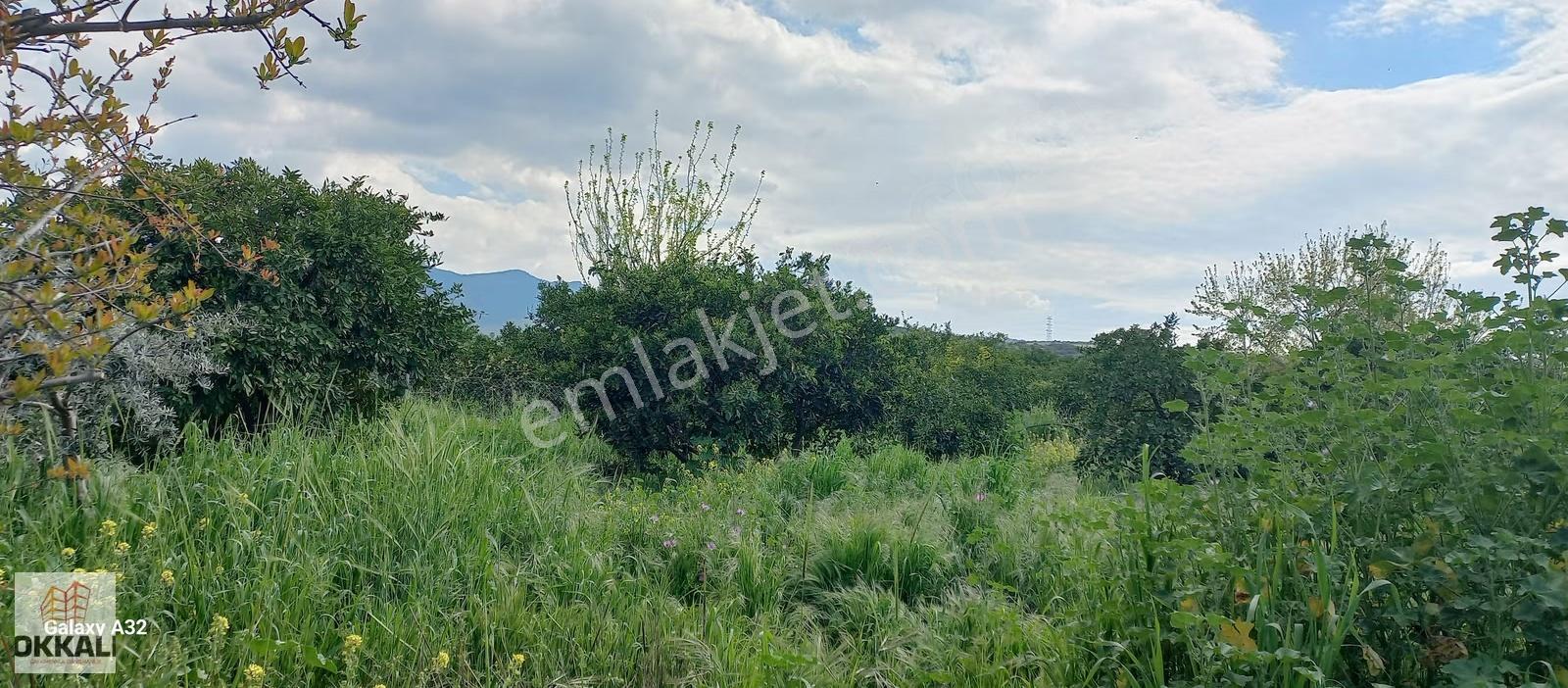 Okkalı Emlak Tan Menemen Yayla Mah.de Satılık Arsa - Görsel 10