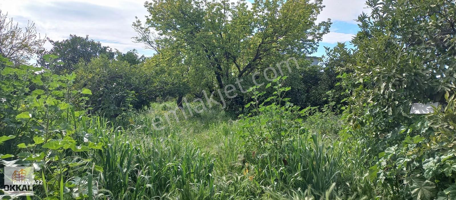 Okkalı Emlak Tan Menemen Yayla Mah.de Satılık Arsa - Görsel 7