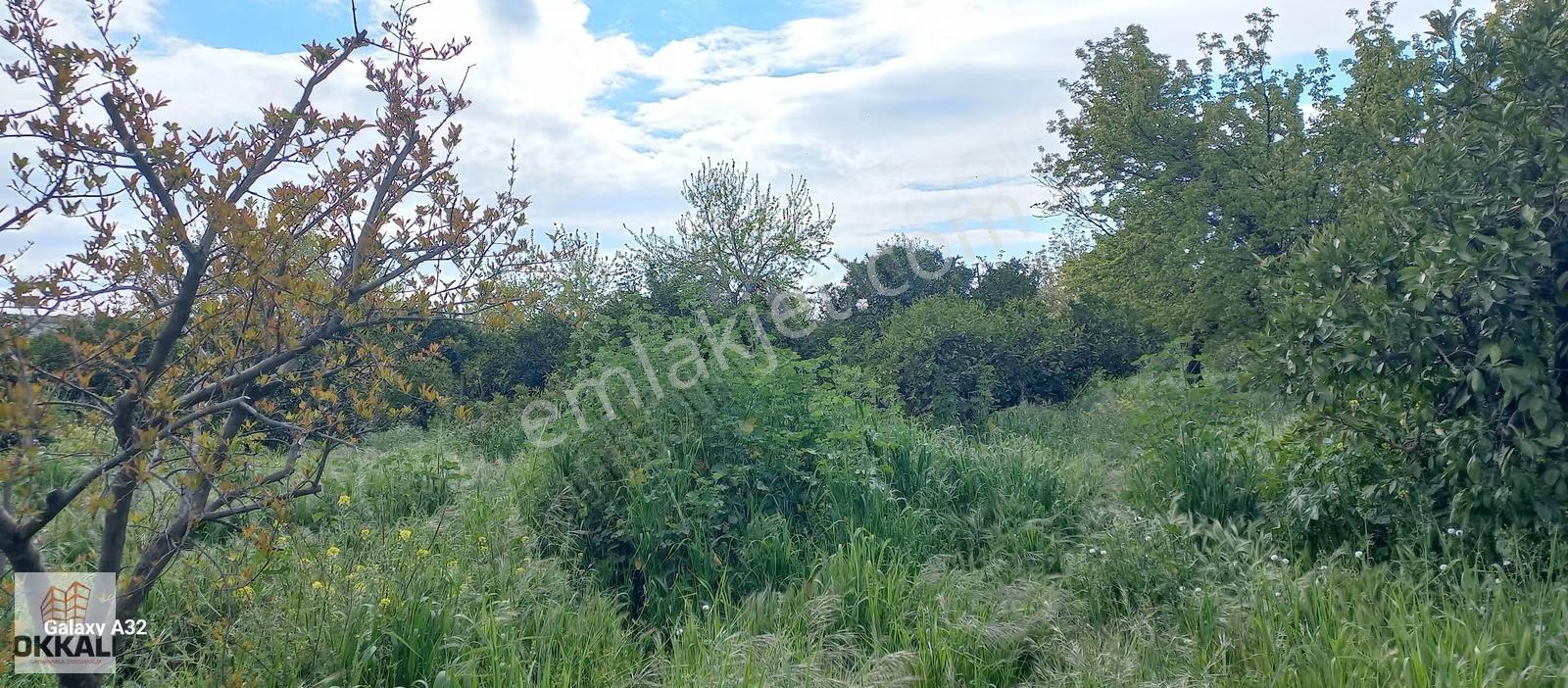 Okkalı Emlak Tan Menemen Yayla Mah.de Satılık Arsa - Görsel 11